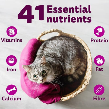 Whiskas Ocean Fish Flavour Adult Cat Dry Food