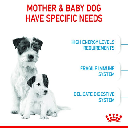 Royal Canin Mini Starter for Small Breed Dogs and Puppies Dry Food