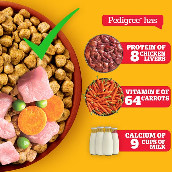 Pedigree Chicken and Milk Puppy Dog Dry Food