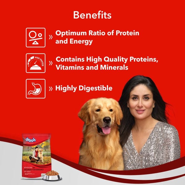 Drools Chicken and Egg Adult Dog Dry Food