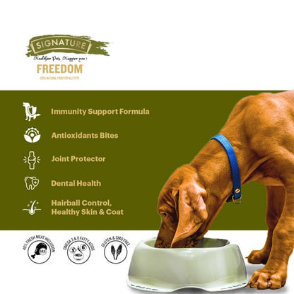 Farmina N&D Pumpkin Chicken & Pomegranate Grain Free Puppy Medium Maxi Dog Dry Food