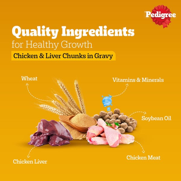 Pedigree Chicken and Liver Chunks in Gravy Adult Dog Wet Food