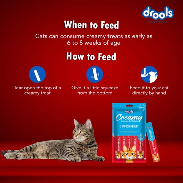 Drools seafood melody Creamy Cat Treats