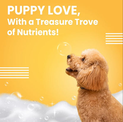 Bark Out Shampoo for Dogs and Cats