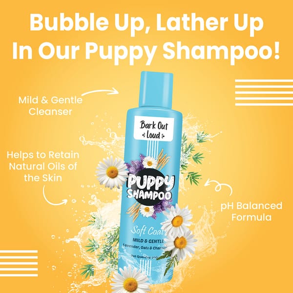 Bark Out Shampoo for Dogs and Cats