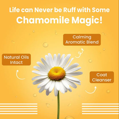 Bark Out Shampoo for Dogs and Cats