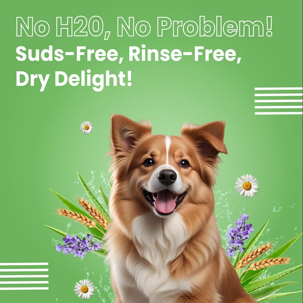 Bark Out Shampoo for Dogs and Cats