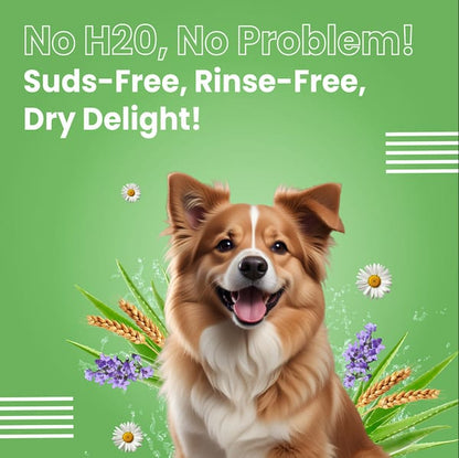 Bark Out Shampoo for Dogs and Cats