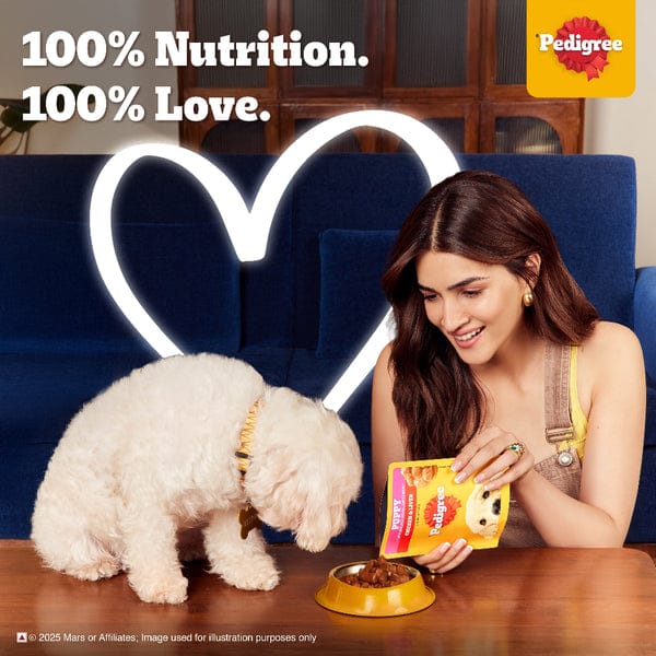 Pedigree Chicken & Liver Chunks in Gravy Puppy Wet Dog Food
