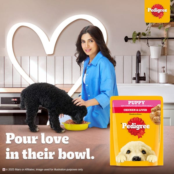 Pedigree Chicken & Liver Chunks in Gravy Puppy Wet Dog Food
