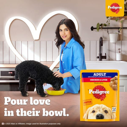 Pedigree Chicken and Liver Chunks in Gravy Adult Dog Wet Food