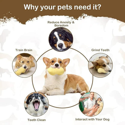 Dog Squeaky Toys, Indestructible Dog Peanut Toys, Durable Pet Teething Chew Toys for Small Medium Large Breed Dogs
