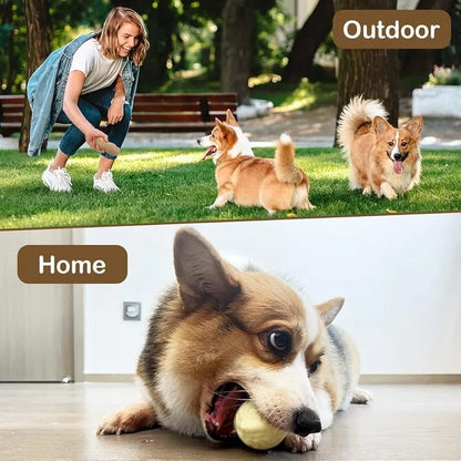 Dog Squeaky Toys, Indestructible Dog Peanut Toys, Durable Pet Teething Chew Toys for Small Medium Large Breed Dogs