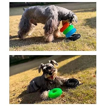 Dogs Company Rubber Dental Puppy Teething Spike Ring Chew Toy