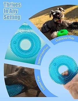 Dogs Company Rubber Dental Puppy Teething Spike Ring Chew Toy