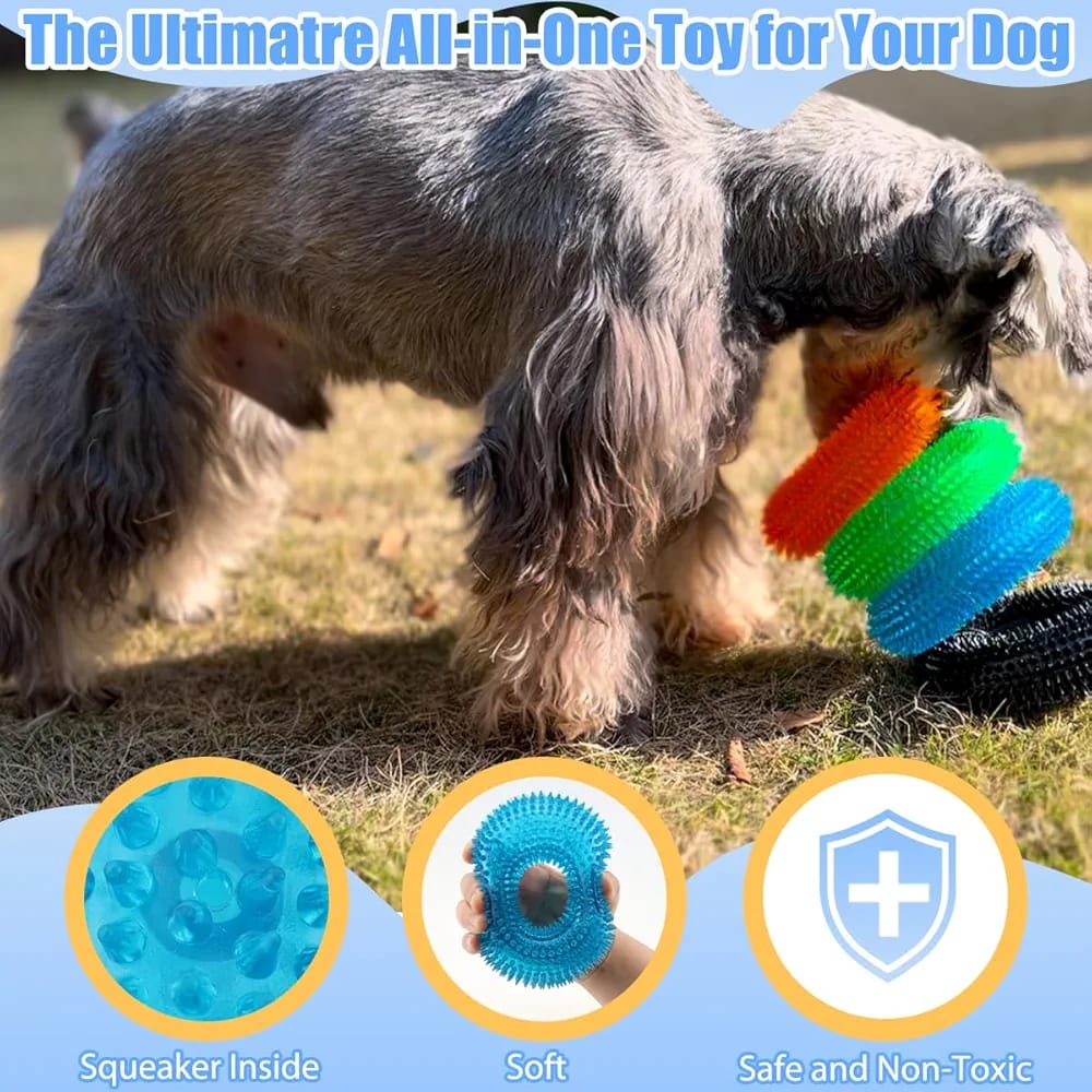 Dogs Company Rubber Dental Puppy Teething Spike Ring Chew Toy