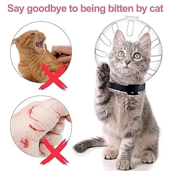 Cat Muzzle Clear Mouth Cover Comfortable Anti-Bite Hood for Bathing & Vet Visits Pet Supplies| Dog Supplies| Training & Obedience| Muzzles