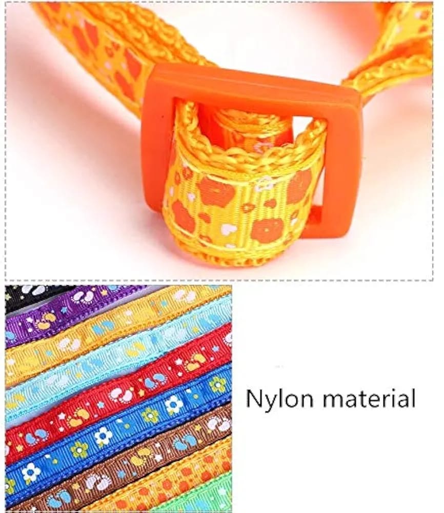 PRINT BODY SET