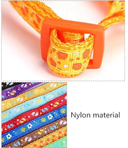 PRINT BODY SET