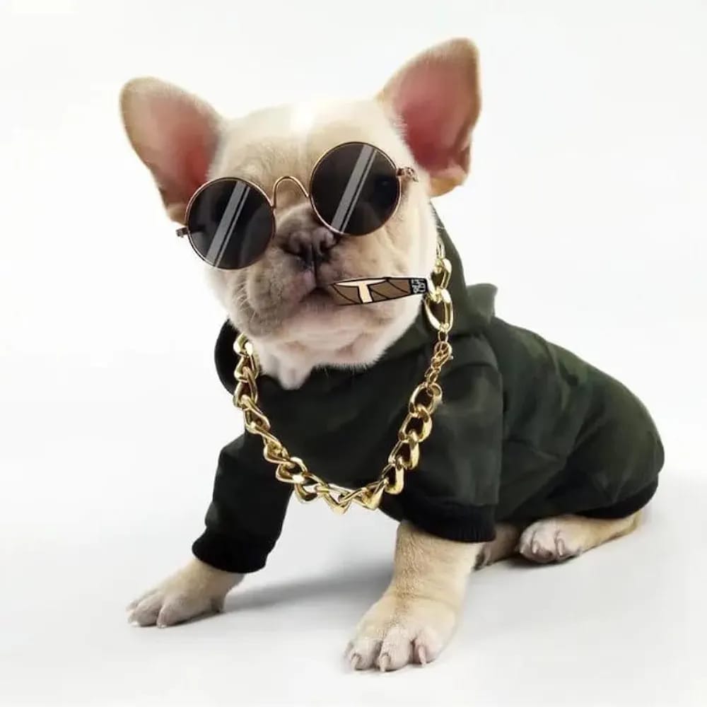 Cat Sunglasses, Classic Retro Round Metal Prince Princess Sunglasses,Photo Props Toys,Puppy Cat Teacher Bachelor Cosplay Glasses for Small Dog Cat