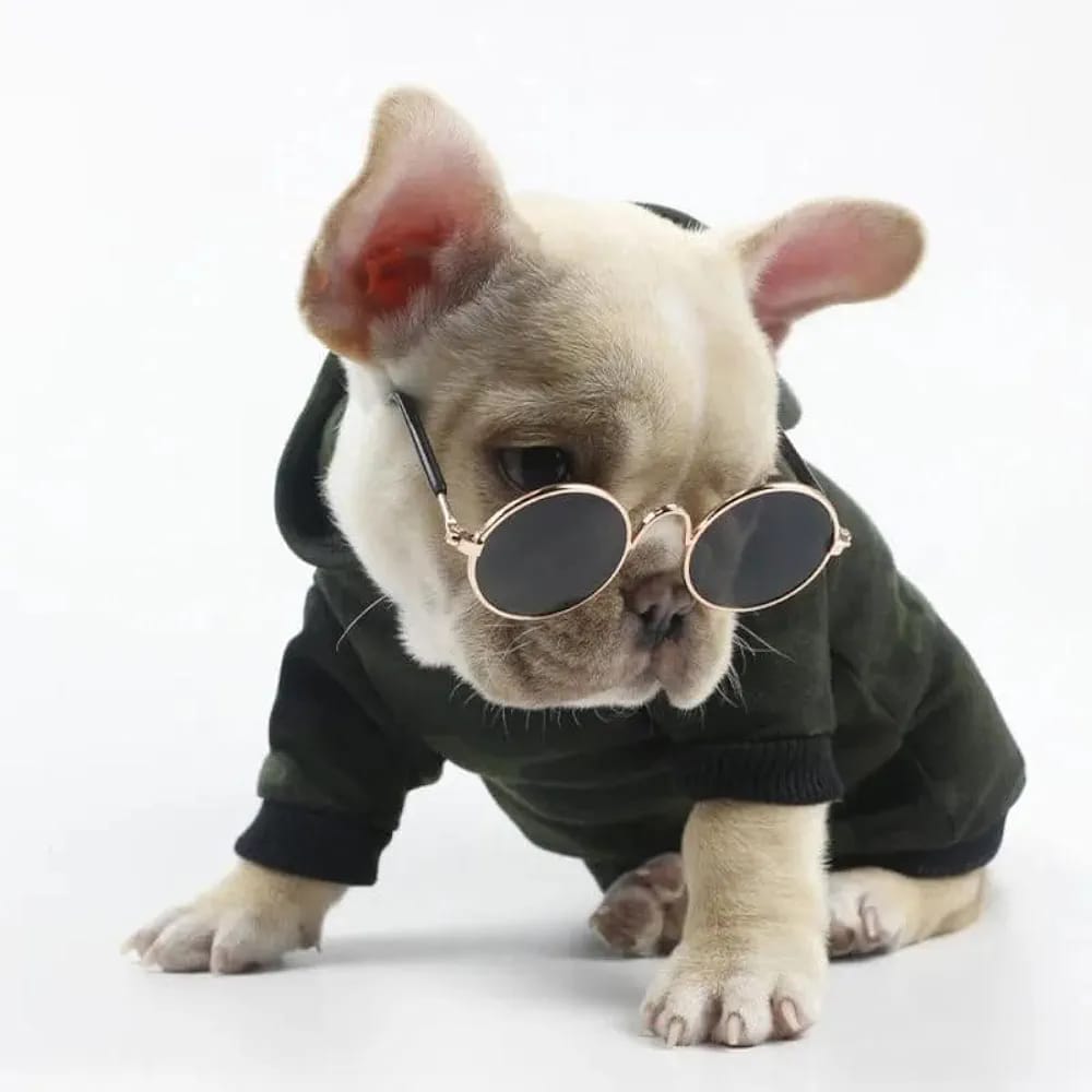 Cat Sunglasses, Classic Retro Round Metal Prince Princess Sunglasses,Photo Props Toys,Puppy Cat Teacher Bachelor Cosplay Glasses for Small Dog Cat