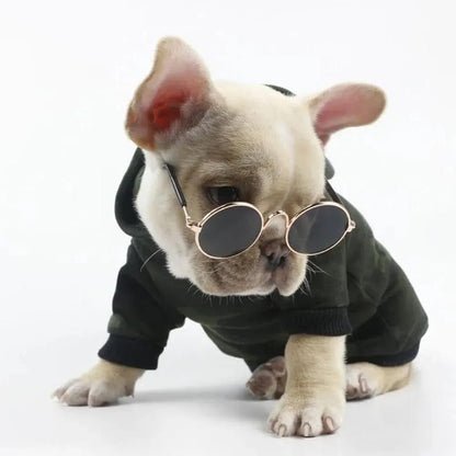 Cat Sunglasses, Classic Retro Round Metal Prince Princess Sunglasses,Photo Props Toys,Puppy Cat Teacher Bachelor Cosplay Glasses for Small Dog Cat
