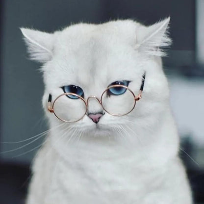 Cat Sunglasses, Classic Retro Round Metal Prince Princess Sunglasses,Photo Props Toys,Puppy Cat Teacher Bachelor Cosplay Glasses for Small Dog Cat