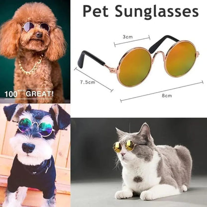 Cat Sunglasses, Classic Retro Round Metal Prince Princess Sunglasses,Photo Props Toys,Puppy Cat Teacher Bachelor Cosplay Glasses for Small Dog Cat