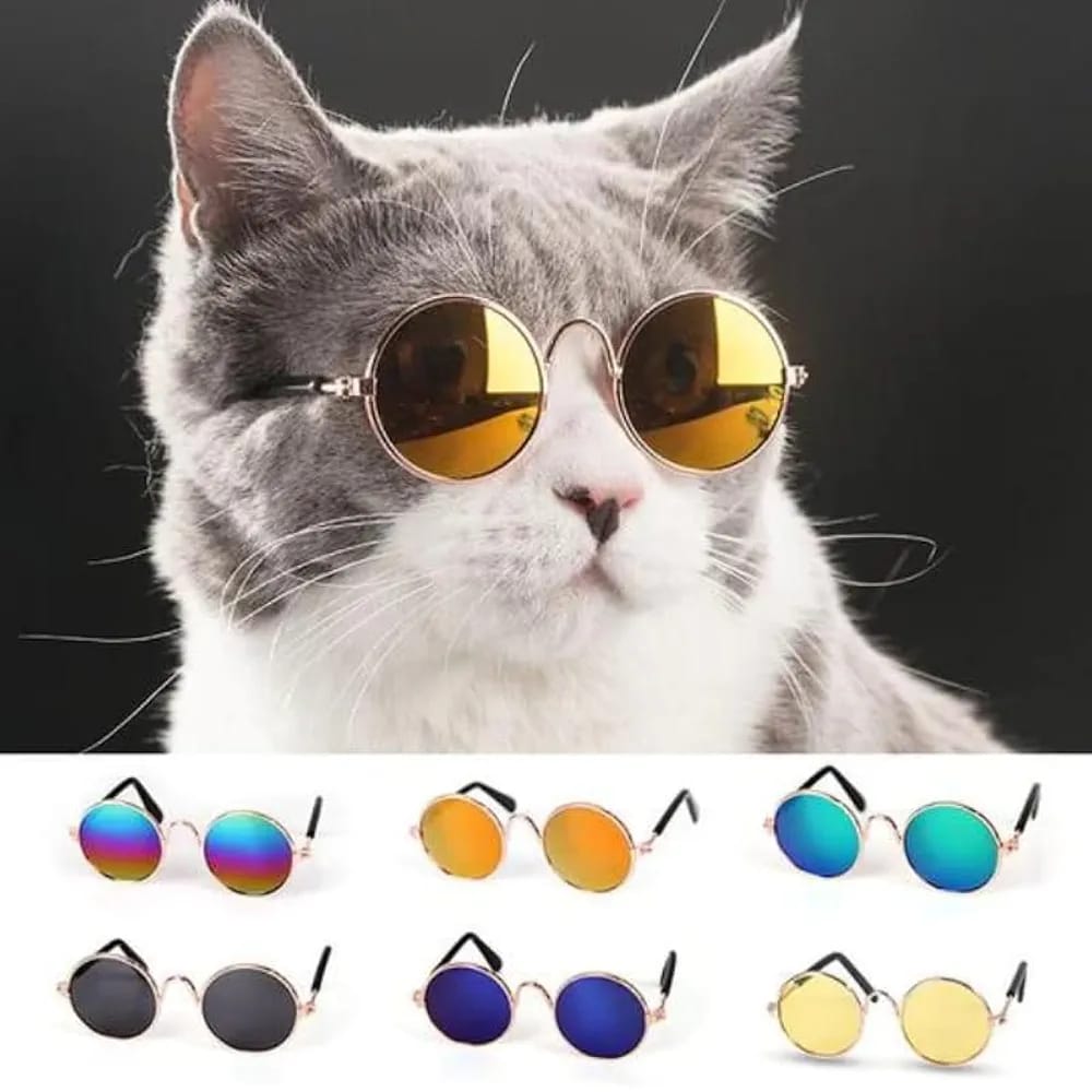 Cat Sunglasses, Classic Retro Round Metal Prince Princess Sunglasses,Photo Props Toys,Puppy Cat Teacher Bachelor Cosplay Glasses for Small Dog Cat