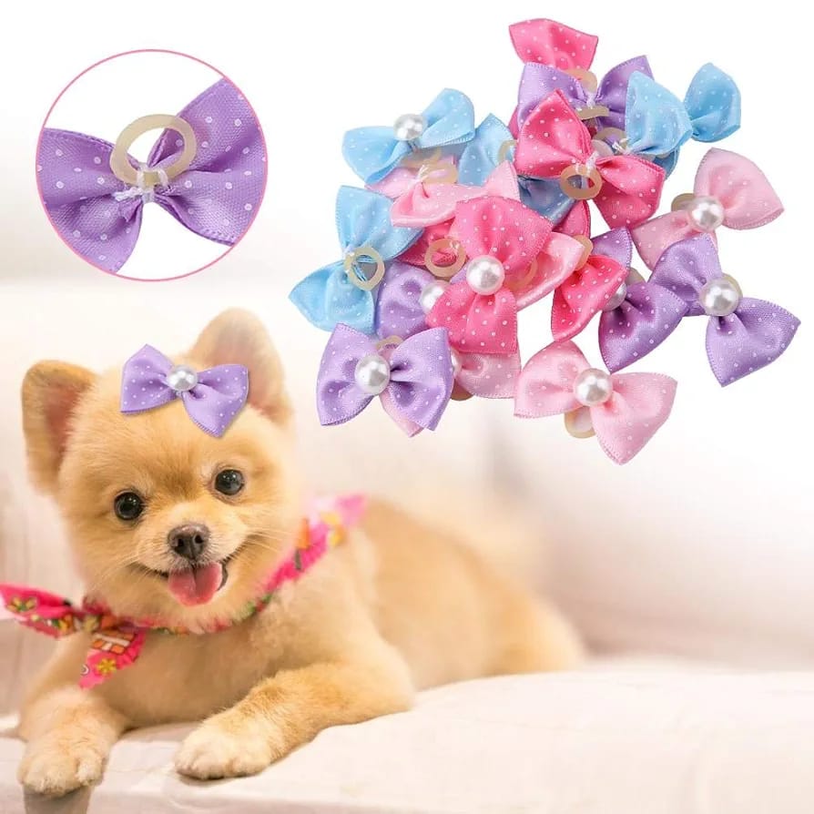 Dog Bows for Hair Small Size with Elastic Puppy Dogs Girl Grooming Rubber Bands Female 10pcs