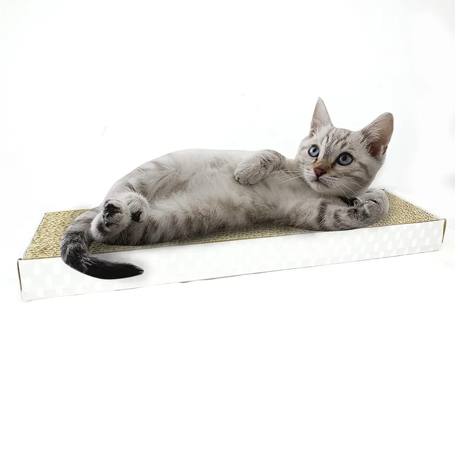 Cat Scratch Pad with Catnip | Recycled Paper Corrugated Scratch Pad for Cats and Kittens| Scratcher for Cats and Kittens| Cat Toy for Cat and Kitten| (Flat Type)