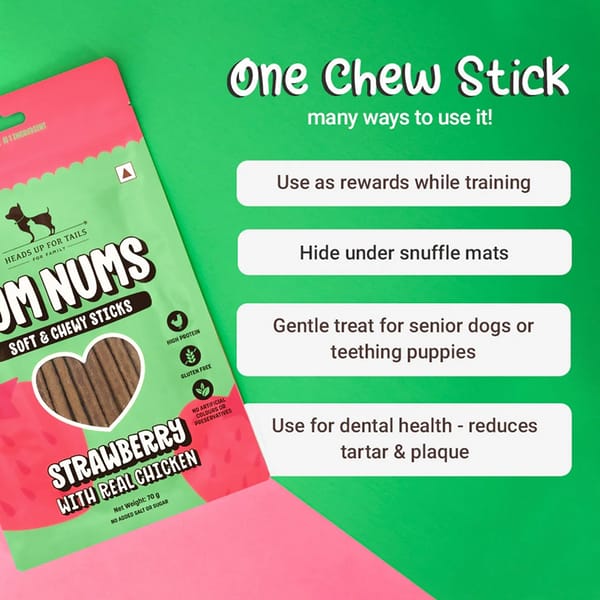 HUFT Yum Nums Soft and Chewy Strawberry with Real Chicken Grain Free Sticks Treats for Dogs