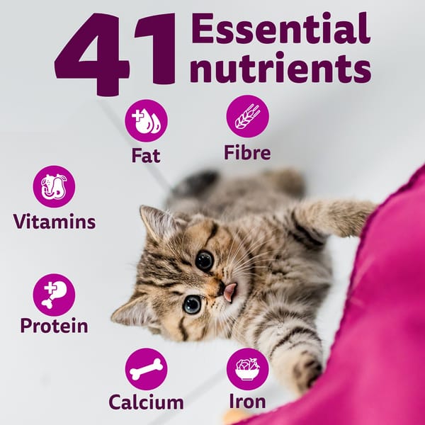 Whiskas Ocean Fish Kitten/Mother and Baby Cat Dry Food