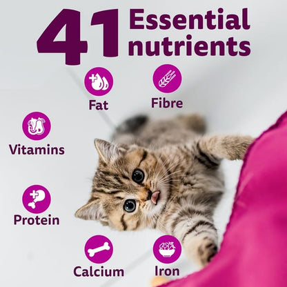 Whiskas Ocean Fish Kitten/Mother and Baby Cat Dry Food