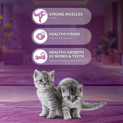 Whiskas Ocean Fish Kitten/Mother and Baby Cat Dry Food