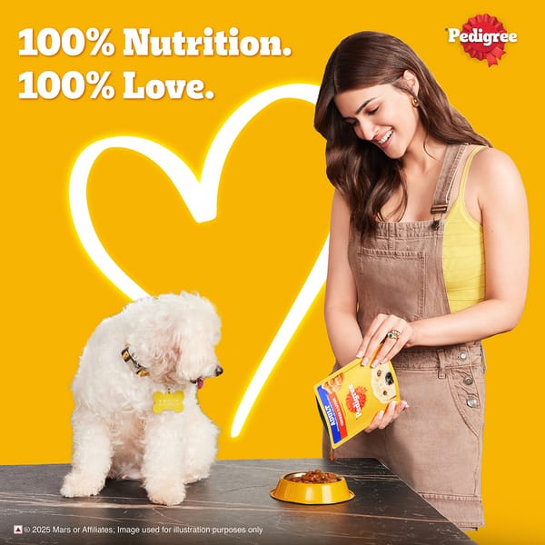 Pedigree Chicken and Liver Chunks in Gravy Adult Dog Wet Food