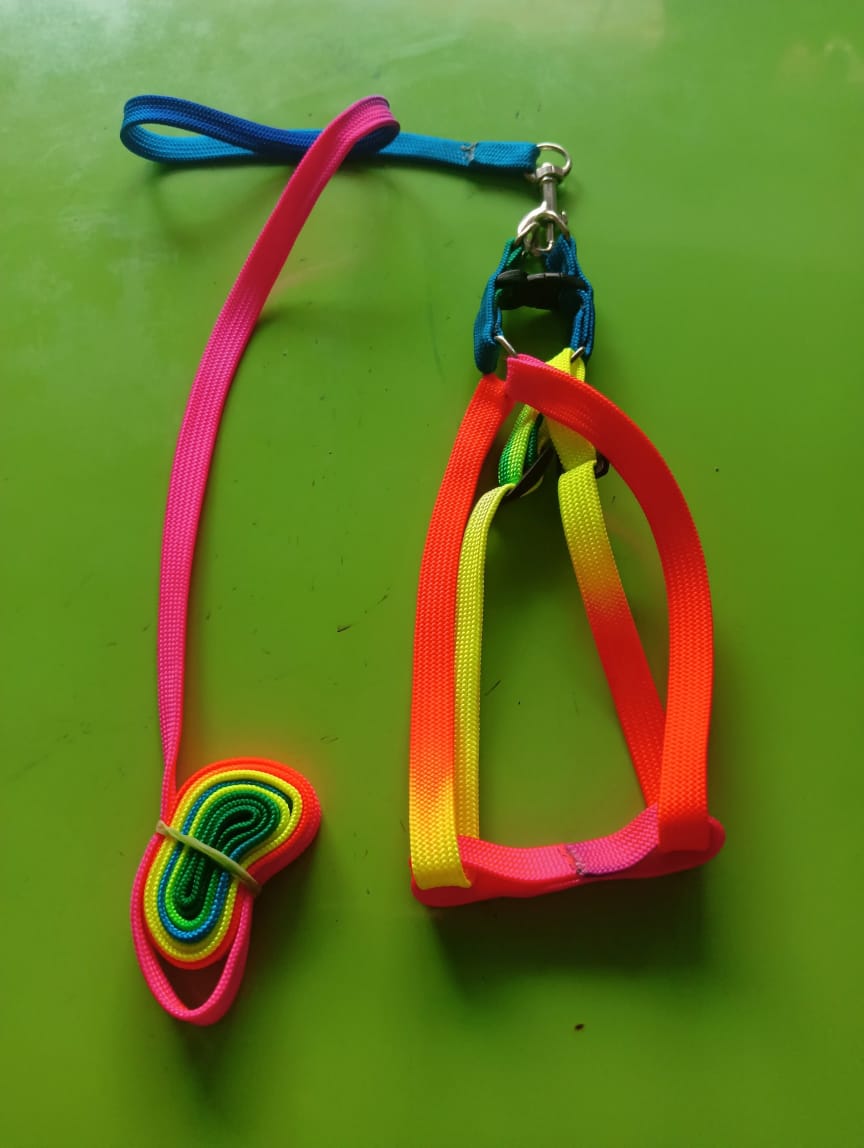 Rainbow Body Set