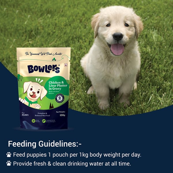 Bowlers Chicken and Liver Recipe in Gravy Puppy Dog Wet Food