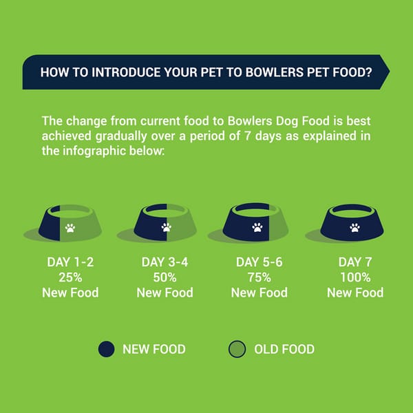 Bowlers Chicken and Liver Recipe in Gravy Puppy Dog Wet Food