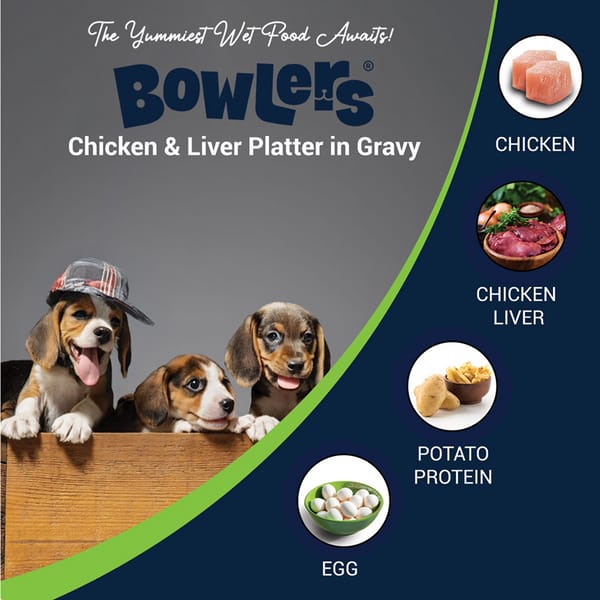 Bowlers Chicken and Liver Recipe in Gravy Puppy Dog Wet Food