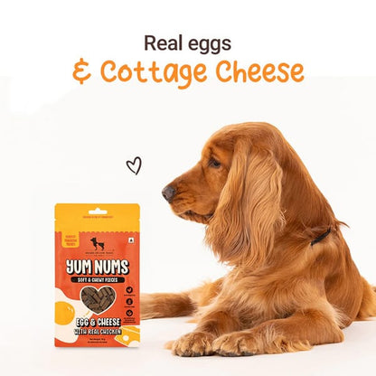 HUFT Yum Nums Egg and Cheese Soft Grain Free Sticks Treat for Dogs