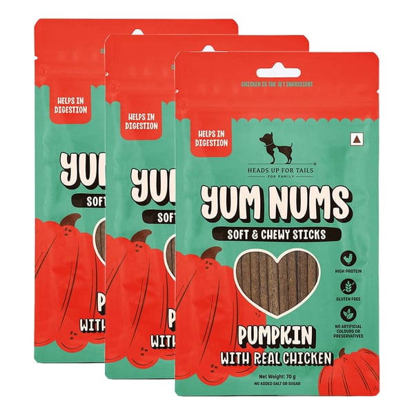 HUFT Yum Nums Pumpkin with Real Chicken Soft and Chewy Grain Free Sticks Treat for Dogs
