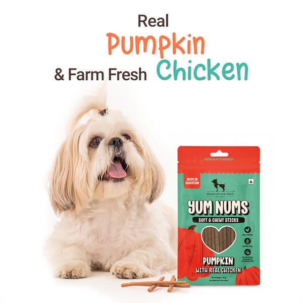 HUFT Yum Nums Pumpkin with Real Chicken Soft and Chewy Grain Free Sticks Treat for Dogs