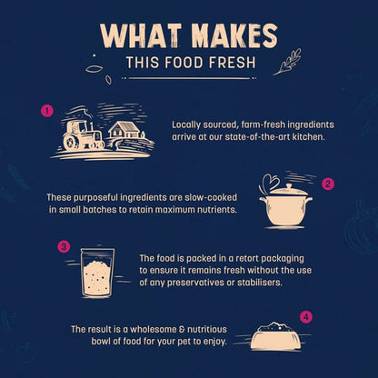 HUFT Sara's Wholesome Grain Free Lamb & Apple Dog Wet Food