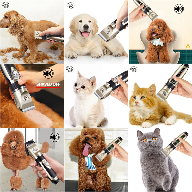 Unisex Dog & Cat Shaver Clippers Low Noise Rechargeable Cordless Electric Quiet Hair Trimmer Clippers Set for Dogs Cats Pets, Gold