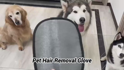 Pet Hair Removal Tool, Electrostatic Pet Hair Remover,Static Removal Gloves for Pet Hair, Dog and Cat Hair Remover Electrostatic Gloves Set for Couch, Clothes, Car, Carpet, Bed, Furniture