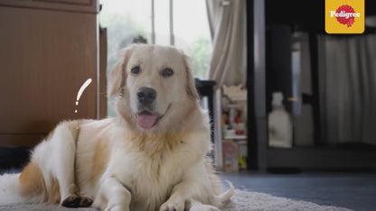 Pedigree Grilled Liver Tasty Jerky Dog Treat