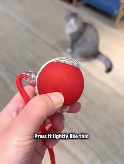 Smart Rolling LED Ball, Automatic & USB Rechargeable Motion Activate for Indoor Kitten Puppy Dog cat- Pet Exercise